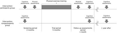 Exercise program to reduce the risk of cognitive decline and physical frailty in older adults: study protocol for an open label double-arm clinical trial